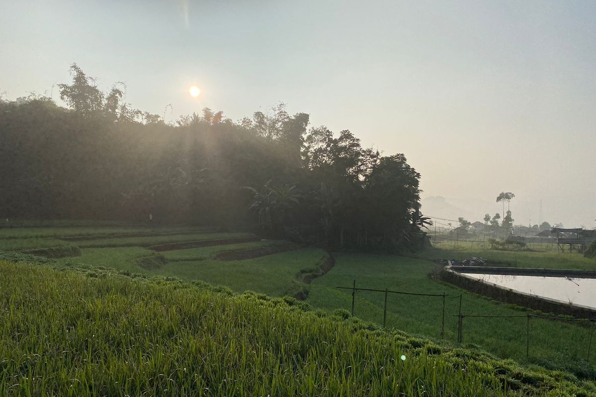 Stok pupuk bersubsidi di Jawa Barat (Jabar) dipastikan aman pada musim tanam Oktober 2021 hingga Maret 2022 mendatang.