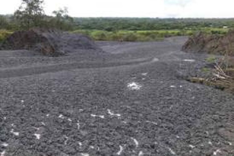 Lumpur dingin mirip lumpur Lapindo di dua Kecamatan di Pulau Semau, Kabupaten Kupang, Nusa Tenggara Timur (NTT) merusak tiga hektar tanaman padi warga setempat
