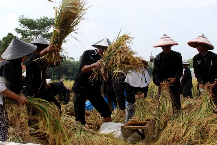 Bagi daerah yang berkecukupan, beas perelek bisa dijual untuk keperluan kampung. Misalnya membeli kursi, katel, wajan, seeng, untuk keperluan dapur umum ketika ada acara kampung ataupun datang musibah.