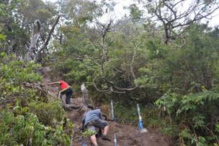 Salah Satu Jalur Terjal yang Dilalui Saat Mendaki Gunung Gede, Taman Nasional Gede Pangrango, Bogor, Jawa Barat