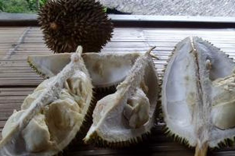 Durian Baduy.