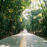 Jam Buka dan Harga Tiket Masuk Hutan Kota Srengseng di Jakarta Barat
