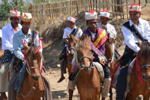 Menjemput Tamu dengan Berkuda, Ikon Baru Pariwisata Flores