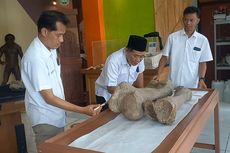 Dua Fosil Tulang Kaki Gajah Purba Ditemukan di Blora, Diperkirakan Usia Ratusan Ribu Tahun