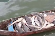 Profil Untung Budiharto, Dirut Antam yang Baru: Ini Rekam Jejaknya