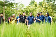 Program "Smart Precision Farming" Dukung Ketahanan Pangan