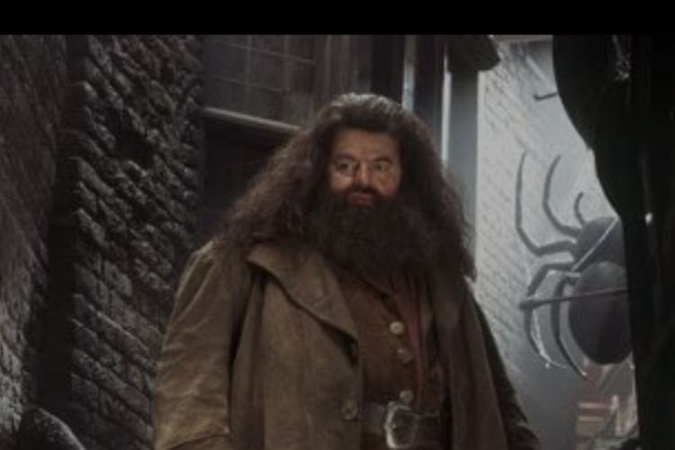 Profil Robbie Coltrane, Pemeran Hagrid Dalam Film Harry Potter