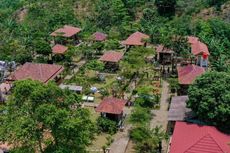 Kampung Rigis Jaya, Desa Wisata di Lampung Barat untuk Pencinta Kopi
