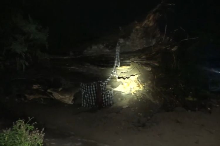 Tiga rumah rusak dilaporkan rusak tertimpa pohon asam berusia ratusan tahun yang roboh setelah bencana hujan disertai angin kencang melanda Kelurahan Banjarejo, Kecamatan Taman, Kota Madiun, Jawa Timur, Kamis (31/10/2024) malam.