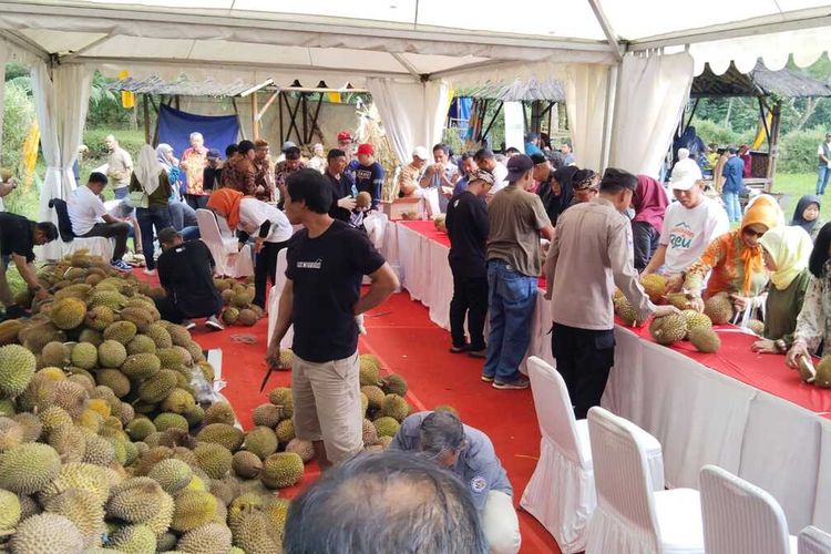 Sejumlah warga di Desa Cibuntu Kecamatan Pesawahan meramaikan agenda Festival Durian 2024, Sabtu (24/2/2024) siang. Kegiatan yang kali pertama digelar ini dinilai Pemda berhasil dan akan dievaluasi untuk dijadikan event tahunan.