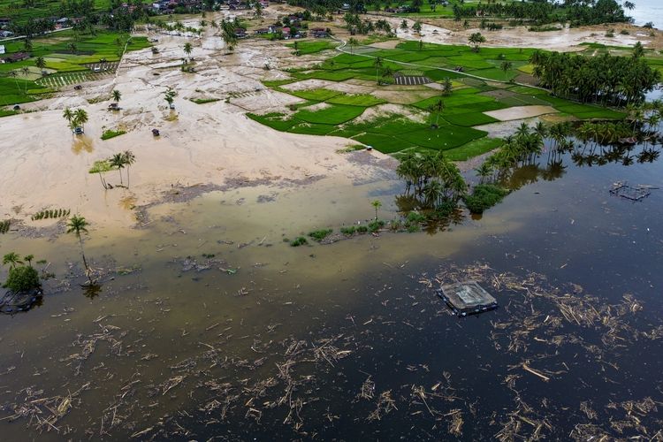 Foto udara sampah dari kayu gelondongan yang hanyut di danau Singkarak di Nagari Muaro Pingai, Kabupaten Solok, Sumatera Barat, Minggu (30/11/2025). Sampah kayu gelondongan tersebut menumpuk di sepanjang jalur banjir bandang beberapa hari terakhir.  ANTARA FOTO/Wawan Kurniawan/Lmo/nz