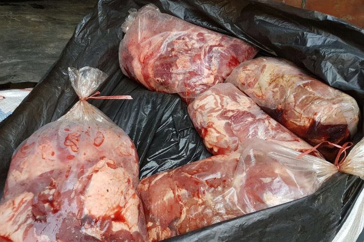 Daging celeng sitaan Badan Karantina Pertanian Pelabuhan Panjang Lampung 