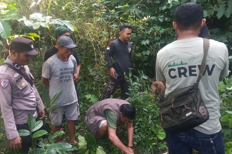 Teror Monyet Liar di Cianjur, Satwa Lukai 4 Warga Ditangkap, Terpaksa Dieliminasi
