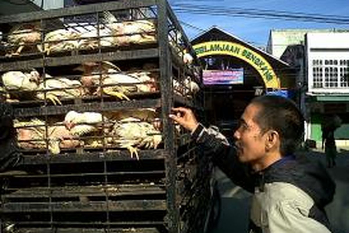 Akitifitas jual beli ayam potong di Pasar Sentral Sengkang, Kabupaten Wajo, Sulawesi Selata. Kamis, (19/09/2013).