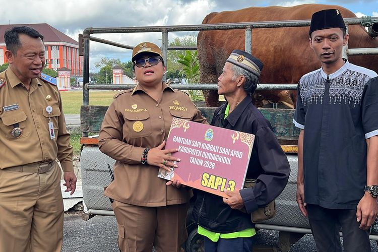 Jelang Idul Adha 2026, 4.700 Ekor Sapi dari Gunungkidul Ludes Terjual Keluar Daerah