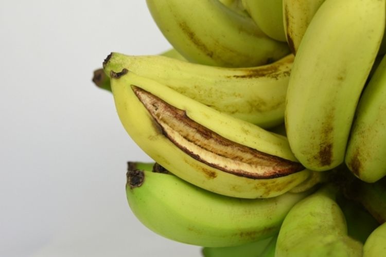 Buah pisang pecah