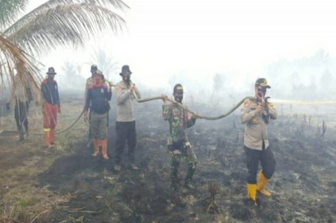 Petugas Berjibaku Memadamkan 29 Titik Kebakaran Hutan di Riau