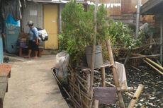Alasan Warga Kampung Apung Tolak Relokasi