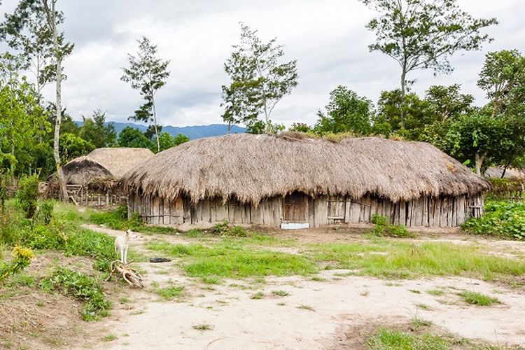 Rumah Honai, rumah tradisional Suku Dani di Papua DOK. Shutterstock/GUDKOV ANDREY