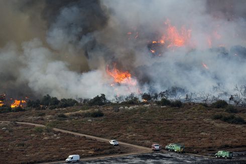 Terungkap, Kebakaran Hutan di California karena Pesta Kembang Api