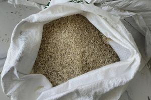 Puluhan Desa di Bangkalan Tolak Beras Banpang Bulog, Kades: Berasnya Seperti Pakan Ternak