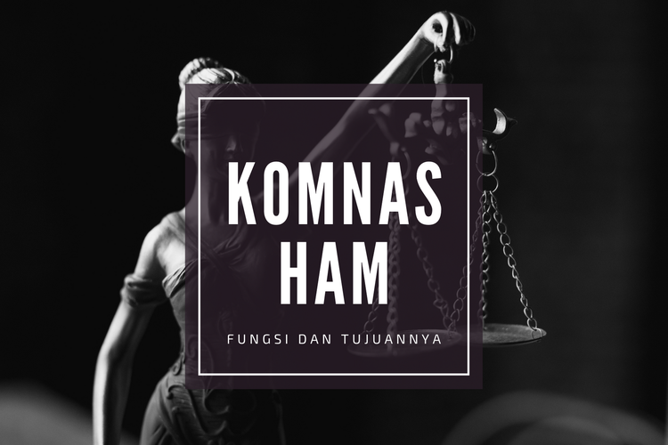 Ilustrasi fungsi komnas HAM