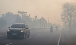 11 Wilayah Kalimantan dengan Kualitas Udara Paling Berbahaya akibat Karhutla, Mana Saja?