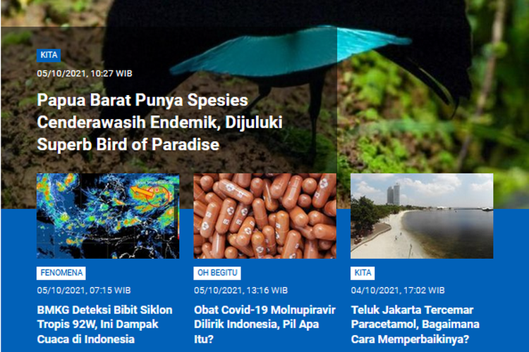 Tangkapan layar berita populer Sains sepanjang Selasa (5/10/2021) hingga Rabu (6/10/2021) pagi. Mulai dari cenderawasih penari yang endemik di Papua Barat, apa itu obat molnupiravir, hingga bibit siklon tropis 92W.