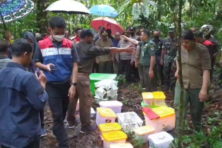 Puluhan Satwa  Reptil Dilepas Liarkan di Taman Wisata  Alam Sorong