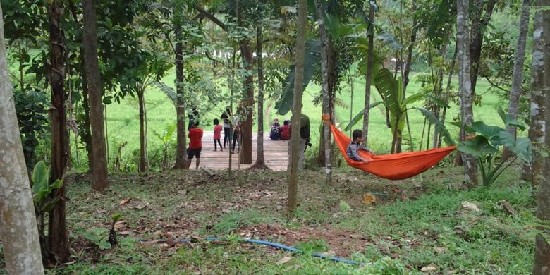 Menikmati pemandangan sawah di Radja Pendapa, Kendal, Jawa Tengah, Minggu (5/11/2017).