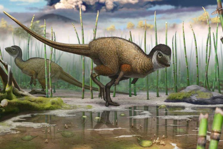 Ditemukan, Fosil Dinosaurus Sebesar Anjing Berusia 166 Juta Tahun