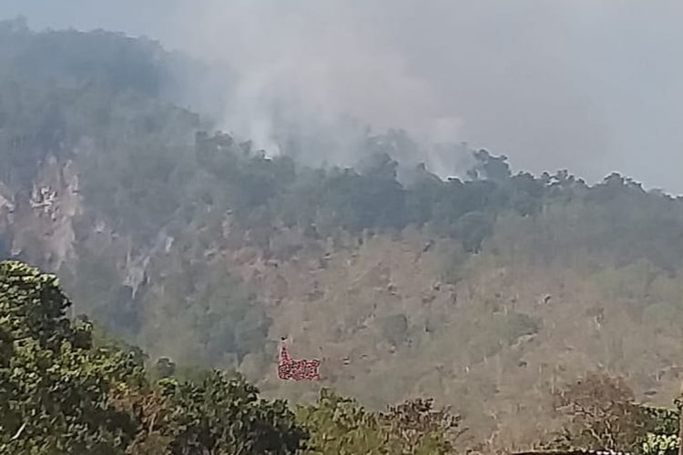 Titik api memasuki kawasan hutan lindung Klantanlo, Kecamatan Wulanggitang, Kabupaten Flores Timur, Senin (28/8/2023).