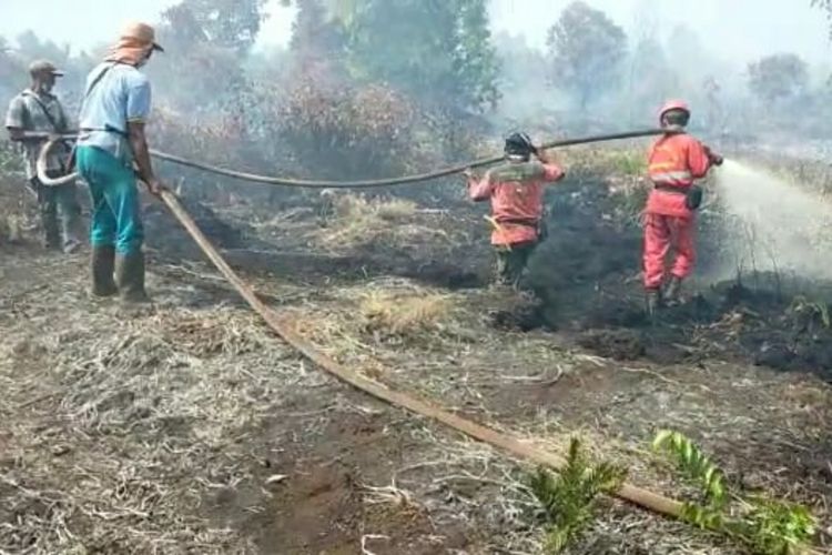 Petugas gabungan memadamkan titik api karhutla di Desa Tanjung Kuras, Kecamatan Sungai Apit, Kabupaten Siak, Riau, Sabtu (8/2/2020).