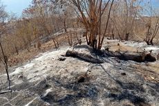 BPBD Sikka Segera Kirim Bantuan untuk Warga Tiga Desa Terdampak Kebakaran Lahan
