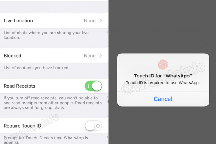 TouchID untuk WhatsApp