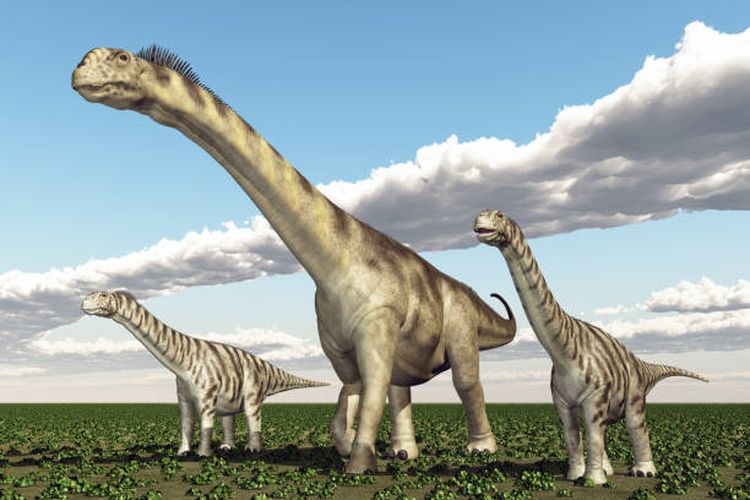 Ilustrasi Camarasaurus, salah satu dinosaurus berleher panjang.