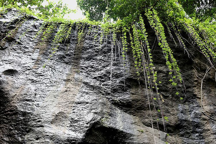 Tebing tinggi di tepian sungai di Hidden Canyon Beji Guwang, Gianyar, Bali.