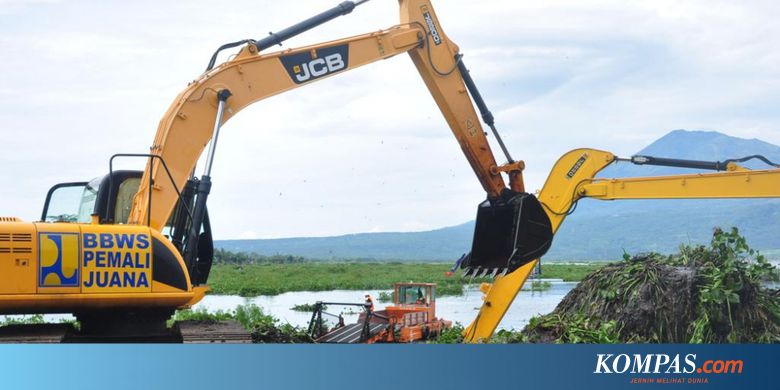Paling Populer 16+ Sketsa Gambar Bunga Eceng Gondok ...