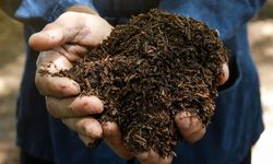 Smelter Manyar Jadi Titik Awal Integrasi Industri dan Lingkungan Hidup