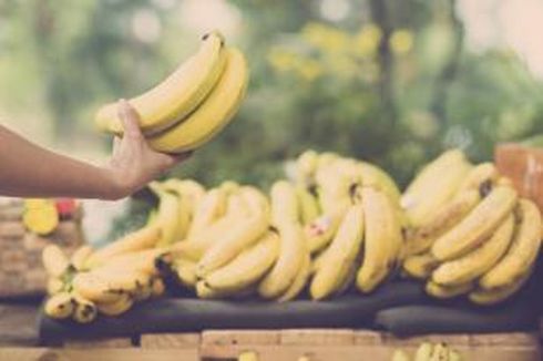 Menembus Jepang Pakai Pisang...