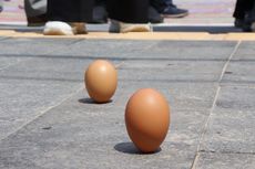Tradisi Mendirikan Telur Akan Digelar Lagi di Pantai Pasir Padi, Pangkalpinang