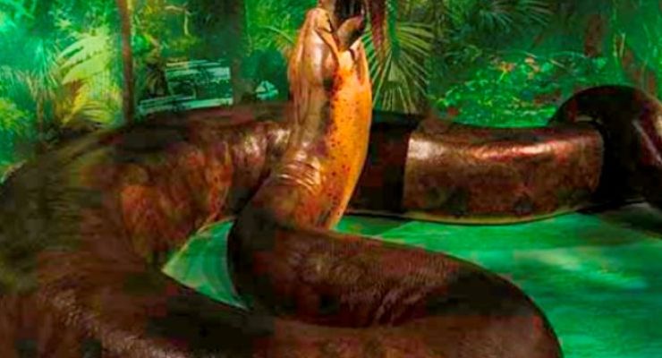 Titanoboa Vs Vasuki Indicus, Ular-ular Raksasa yang Pernah Menghuni Bumi