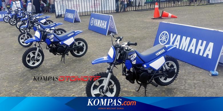 Suzuki pw 50