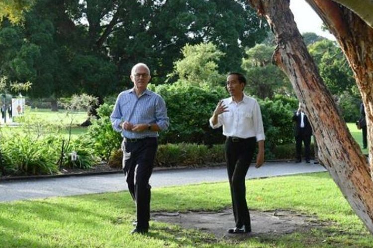 Presiden Joko Widodo berjalan pagi di Royal Botanic Garden Sydney bersama PM Malcolm Turnbull, berbincang santai sambil menyapa warga Australia.