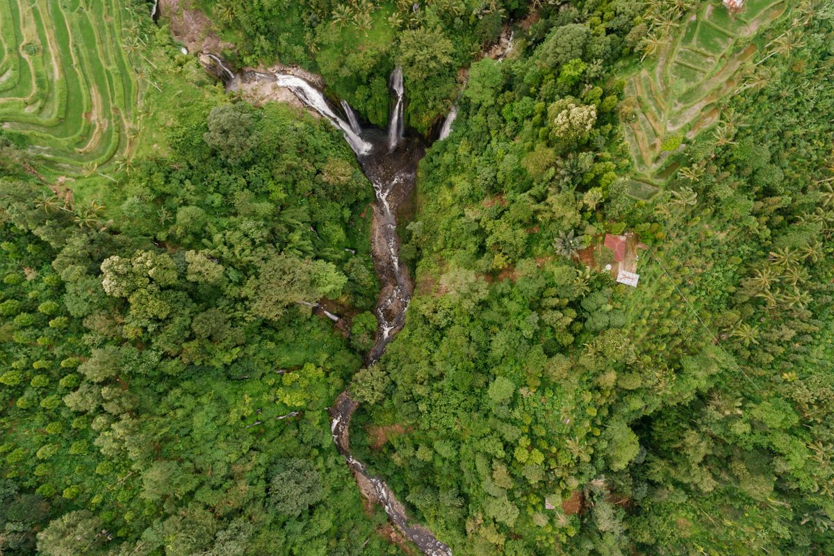 Tren pasar karbon ke depan diprediksi semakin menguat. Apa saja skenario arah gerak pasar karbon ke depannya?