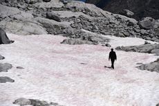 Es Berwarna Pink Muncul di Pegunungan Alpen, Fenomena Apa Itu?