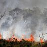 Langkah Strategis untuk Antisipasi Kebakaran Hutan dan Lahan di IKN