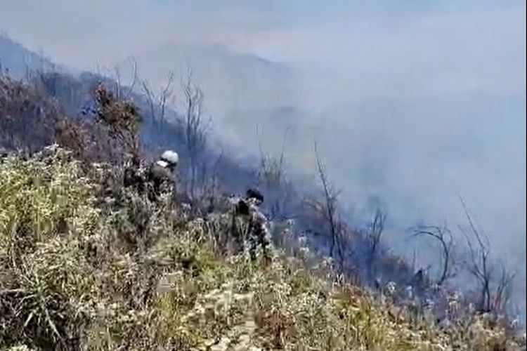 Petugas Balai Besar Taman Nasional Bromo Tengger Semeru (BB TBTS) saat melakukan pendinginan usai kebakaran.