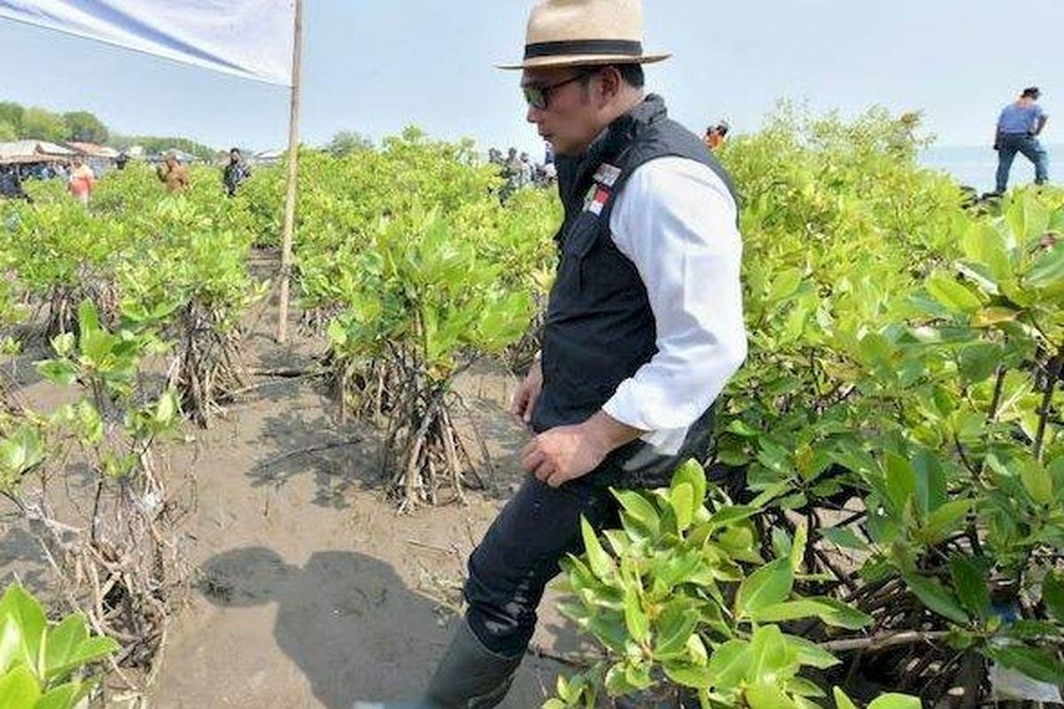 Gubernur Jawa Barat Ridwan Kamil saat menghadiri peringatan Hari Lingkungan Hidup Sedunia (HLH) Tingkat Provinsi Jabar di Pantai Pondok Bali, Desa Mayangan, Legonkulon, Kabupaten Subang, Kamis (30/6/2022). 