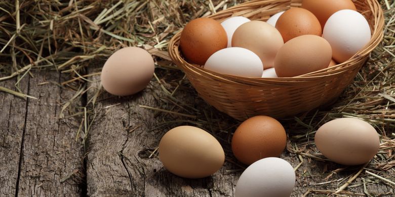 Alasan Telur Infertil Tidak Boleh Dijual Tapi Banyak Beredar Halaman All Kompas Com
